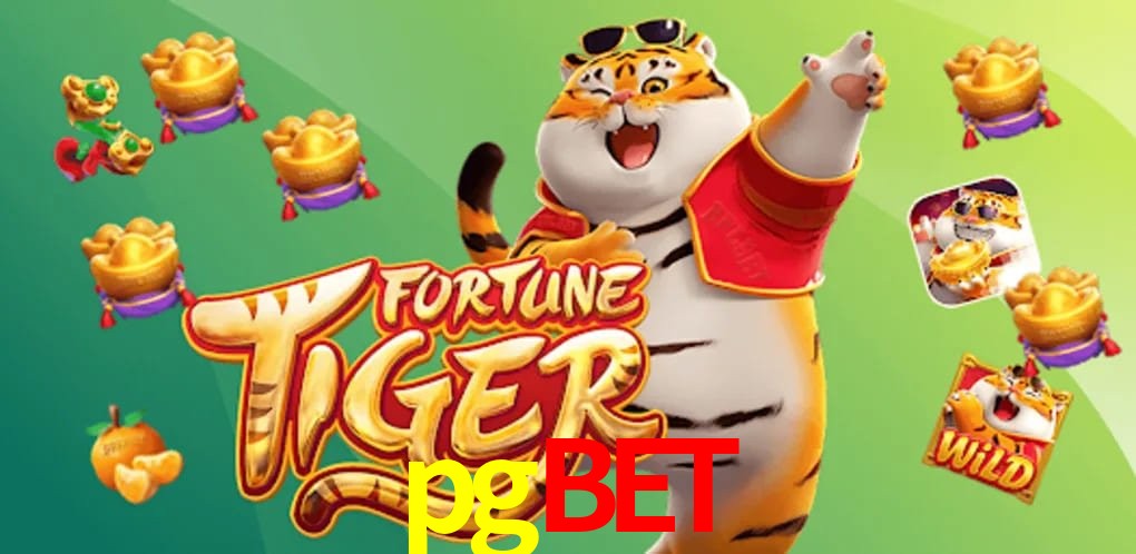 Casino Ao Vivo pgbet